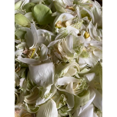 Cánh hoa sen sấy khô 500g - Trà thảo dược thơm ngon, tốt cho sức khỏe, giảm giá 250.000 5 Cánh hoa sen sấy khô 500g - Trà thảo dược thơm ngon, tốt cho sức khỏe, giảm giá 250.000 5