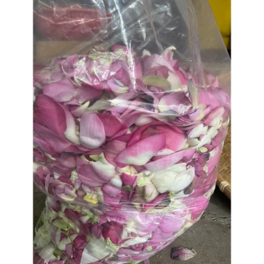 Cánh hoa sen sấy khô 500g - Trà thảo dược thơm ngon, tốt cho sức khỏe, giảm giá 250.000