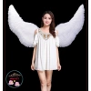 Cánh Thiên Thần Trắng & Ác Quỷ Đen 160x90cm Cosplay Loại Lớn Bản Giới Hạn Độc Đáo Siêu Đẹp - Giá 140k 8
