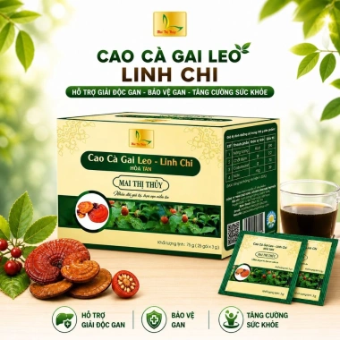 Cao Cà Gai Leo Linh Chi Hòa Tan 25 gói - Thanh nhiệt, giải độc, mát gan, giảm giá 138k