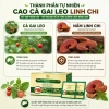 Cao Cà Gai Leo Linh Chi Hòa Tan 25 gói - Thanh nhiệt, giải độc, mát gan, giảm giá 138k 2