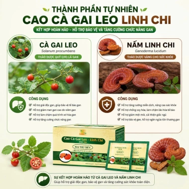 Cao Cà Gai Leo Linh Chi Hòa Tan 25 gói - Thanh nhiệt, giải độc, mát gan, giảm giá 138k