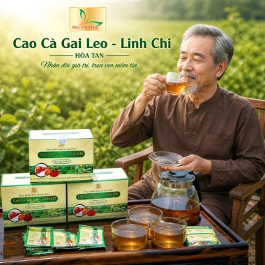 Cao Cà Gai Leo Linh Chi Hòa Tan 25 gói - Thanh nhiệt, giải độc, mát gan, giảm giá 138k
