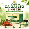 Cao Cà Gai Leo và Linh Chi Hòa Tan Mai Thị Thủy - Hộp 25 gói, Giá 135.000đ