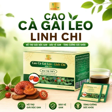 Cao Cà Gai Leo và Linh Chi Hòa Tan Mai Thị Thủy - Hộp 25 gói, Giá 135.000đ