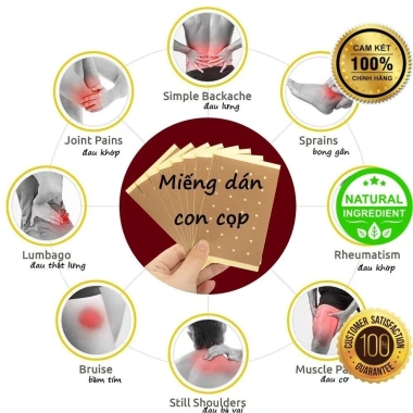 Cao Dán Con Cọp 8 miếng giảm đau lưng, cổ, khớp, vai nhanh, thảo dược động vật 78.448 VND 2