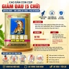 Cao Dán Cọp Shexiang 5/7 Chữ 100 Gói - Chính Hãng, Giá Giảm 410k, Dán Đẹp 4