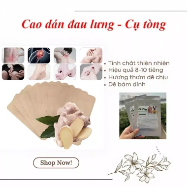 Cao dán Cụ Tòng xương khớp 1 gói 10 miếng - Giảm nhức mỏi, tăng linh hoạt, 22.000đ