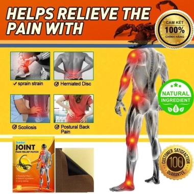 Cao Dán Đau Lưng, Đau Khớp, Cổ Vai Gáy 8 Miếng - Tự Nhiên 100% Không Hại Nội Tạng, Giá Cực Rẻ 83.740đ 2