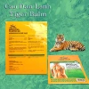 Cao Dán Đau Mỏi Tiger Balm DuyNisa Thailand - Giảm Đau Cơ, Thư Giãn Nhanh, 98k VND 6