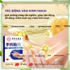 Cao Dán Giảm Run Tay Chân Thảo Dược Hongkong 5 Miếng - Giá 199k, Cải Thiện Run 5
