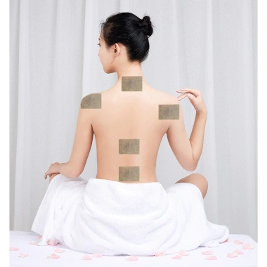 Cao dán gừng ngải cứu giảm đau lưng, xương khớp - 50 miếng dán nóng, 18.7k 3