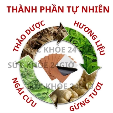 Cao dán gừng thảo dược giảm đau mỏi xương khớp, tê bì tay chân - 50 miếng 28.000đ 5