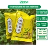 Cao Dán Gừng Trung Hoa 50 miếng – Nguyên liệu thiên nhiên giảm đau xương khớp, vai gáy, giá chỉ 20.000₫