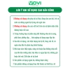 Cao Dán Gừng Trung Hoa 50 miếng – Nguyên liệu thiên nhiên giảm đau xương khớp, vai gáy, giá chỉ 20.000₫ 9