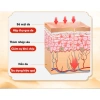 Cao Dán Hai Con Hổ Nội Địa Trung Giảm Đau Nhức Mỏi Cơ Xương Khớp, Thoát Vị Địa Đệm - Hộp 8 miếng 58.999đ 5