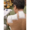 Cao dán hỗ trợ bệnh xương khớp giảm đau nhức, cải thiện xương khớp - 1 hộp 10 miếng, giá ưu đãi 80.000đ 3