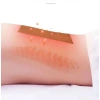 Cao Dán Ngải Cứu Đông Y Nội Địa Trung - Giảm Đau Nhức Cơ Thể, Gói 50 Miếng, Giá 18.000 VND 5