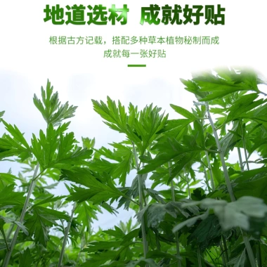 Cao dán ngải cứu giảm đau vai gáy, xương khớp, hộp 12 miếng chính hãng 12.900₫ 3