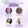 Cao Dán Thải Độc Kim Loại Nặng ATZ Healthy Life Hộp 10 miếng Giảm Độc Tố Tăng Sức Khỏe 4