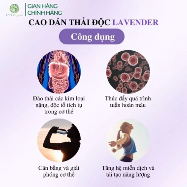 Cao Dán Thải Độc Kim Loại Nặng ATZ Healthy Life Hộp 10 miếng Giảm Độc Tố Tăng Sức Khỏe 4