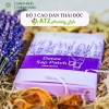 Cao Dán Thải Độc Kim Loại Nặng ATZ Healthy Life Hộp 10 miếng Giảm Độc Tố Tăng Sức Khỏe 10