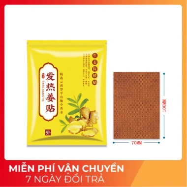 Cao dán xương khớp 50 miếng Tinh chất Gừng Thảo dược Đông y Túi Vàng - Giá chỉ 19.000 VND