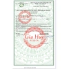 Cao Hồng Sâm 365 Những Hươu Hàn Quốc 2 Lọ - Tăng Cường Sinh Lực, Giá 529.000₫ 2
