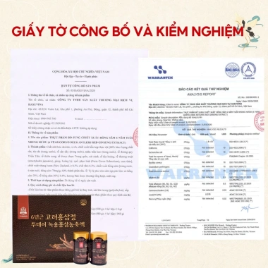 Cao Hồng Sâm Nhung Hươu Goryo 365 Hàn Quốc 6 Năm Tuổi Hộp 2 Lọ Giá 620.000 VND 7