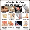 Cao nấu cô đặc Bội Lan Đường 3 miếng - Giảm đau cổ vai, lưng, trật khớp 180k 2