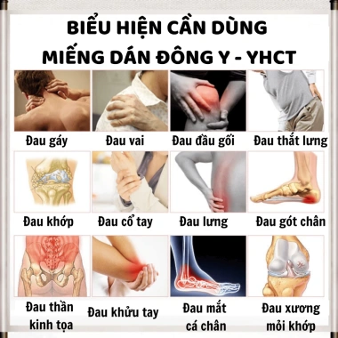 Cao nấu cô đặc Bội Lan Đường 3 miếng - Giảm đau cổ vai, lưng, trật khớp 180k 2