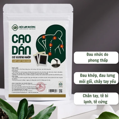 Cao nấu cô đặc Bội Lan Đường 3 miếng - Giảm đau cổ vai, lưng, trật khớp 180k 8