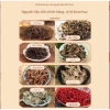 Cao Xương Khớp Kim Xà Thái Lan 50g - Giảm Đau, Tê Bì, Sưng Viêm Nhanh Chóng, Giá 120.000đ 9