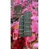 Cặp 2 Mô Hình Bánh Tét Handmade Decor Size S 12cm - Trang Trí Tết Giá Ưu Đãi 58.500 VND 6