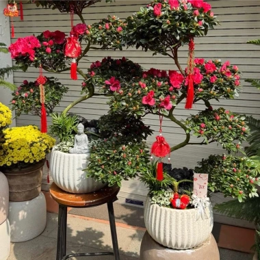 Cặp chậu gốm sứ Bát Tràng men sôi trắng 13x18cm – Đã khoan lỗ, trồng lan, giá 89.000đ