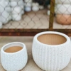 Cặp chậu gốm sứ Bát Tràng men sôi trắng 13x18cm – Đã khoan lỗ, trồng lan, giá 89.000đ 2