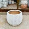 Cặp chậu gốm sứ Bát Tràng men sôi trắng 13x18cm – Đã khoan lỗ, trồng lan, giá 89.000đ 3
