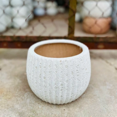 Cặp chậu gốm sứ Bát Tràng men sôi trắng 13x18cm – Đã khoan lỗ, trồng lan, giá 89.000đ