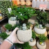Cặp chậu gốm sứ Bát Tràng men sôi trắng 13x18cm – Đã khoan lỗ, trồng lan, giá 89.000đ 4