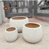 Cặp chậu gốm sứ Bát Tràng men sôi trắng 13x18cm – Đã khoan lỗ, trồng lan, giá 89.000đ 5
