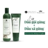 Cặp Dầu Gội và Dầu Xả Thảo Dược Weilaiya Gừng Trắng - Giảm Rụng, Dưỡng Da Đầu Dầu Bết, 350.000đ 3