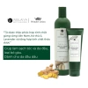 Cặp Dầu Gội và Dầu Xả Thảo Dược Weilaiya Gừng Trắng - Giảm Rụng, Dưỡng Da Đầu Dầu Bết, 350.000đ 4