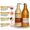 Cặp Dầu Gội Xả TACAVY 1.000ml - Giảm Gãy Rụng, Phục Hồi Tóc Hư Tổn, Khô Xơ, Hàng Chính Hãng, Giá 145.000 VND 6