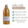 Cặp Dầu Gội Xả TACAVY 1.000ml - Giảm Gãy Rụng, Phục Hồi Tóc Hư Tổn, Khô Xơ, Hàng Chính Hãng, Giá 145.000 VND 7