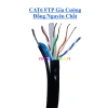 Cáp mạng ngoài trời Cat6 FTP bấm sẵn 2 đầu 8 lõi đồng nguyên chất chống nhiễu thép gia cường 130k 4