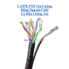 Cáp mạng ngoài trời Cat6 FTP bấm sẵn 2 đầu 8 lõi đồng nguyên chất chống nhiễu thép gia cường 130k 5