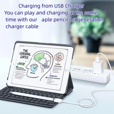Cáp Sạc HdoorLink USB A & Type C cho Apple Pencil 1 - Tốc độ nhanh, Giá 70.400 VND 7
