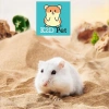 Cát Sa Mạc 15k - Lót Chuồng, Cát Tắm, Decor Lồng Hamster, Bò Sát, Nhím, Gà Rutin - Giá Ưu Đãi 15.000₫