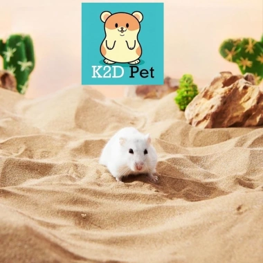 Cát Sa Mạc 15k - Lót Chuồng, Cát Tắm, Decor Lồng Hamster, Bò Sát, Nhím, Gà Rutin - Giá Ưu Đãi 15.000₫ 2