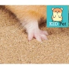 Cát Sa Mạc 15k - Lót Chuồng, Cát Tắm, Decor Lồng Hamster, Bò Sát, Nhím, Gà Rutin - Giá Ưu Đãi 15.000₫ 4